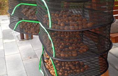 Agroturystyka Na górce - Foto 3