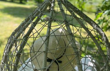 La Colline de Tilleul - Les Tilleuls - 4 STAR RATED - stunning cottage with pool near Aubeterre in idyllic location - Foto 16