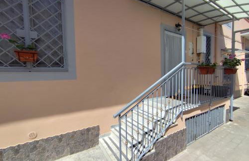 Geko del Sud - Foto 4