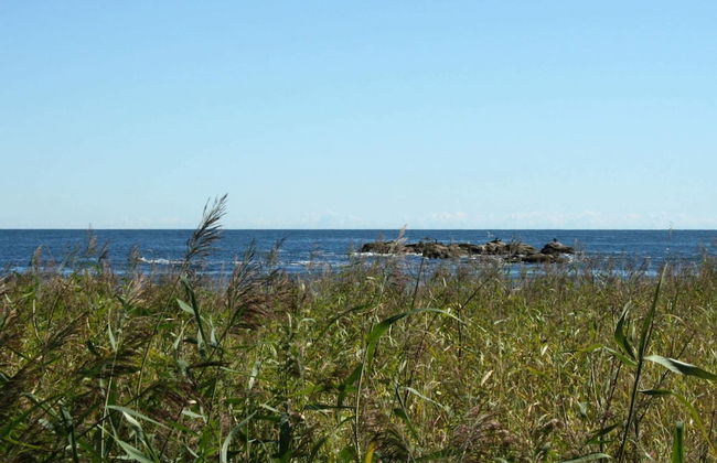 Seaside Idyll in Svaneke - By Traum Ferienwohnungen - Foto 34