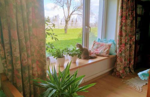 Zakątek Szczęścia Eko Agroturystyka - Foto 29