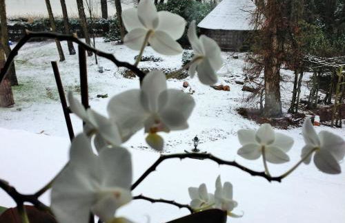 Weißer Berg am Bungeweg - Foto 7