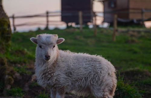 Parc animalier des Clautres - Maison Roulottes Tente - Photo 6