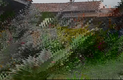 Pousada Rural Rancho do Marçal - Foto 52