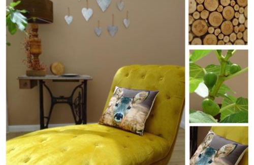 Casa-Catalina - Foto 1