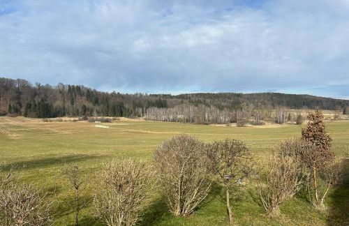 Lüftenblick - 2 Ferienwohnungen am Starnberger See, mit Terrasse oder Balkon, Weitblick, Sauna, Kamin, E-Ladestation - Foto 30