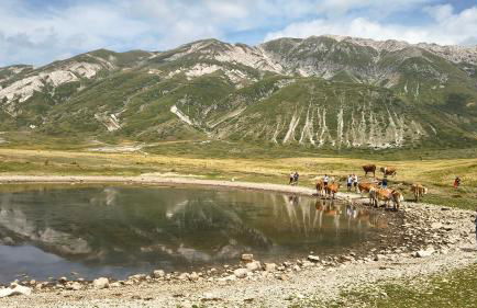 Amelia Sweet Home - Farindola - Foto 23