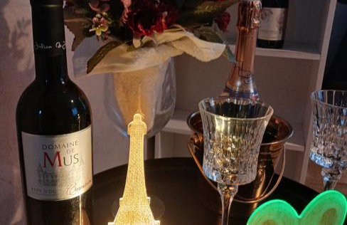 Maison 8 pièces Spa jacuzzi Paris Airport CDG jardin arboré clos - Foto 20