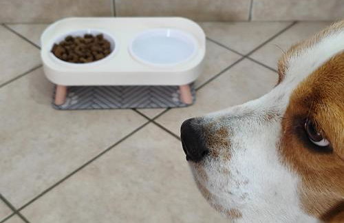 Degli Angioini Holiday Home - Foto 79