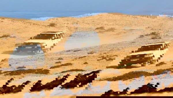 Tiznit Tour + Desert Safari - Foto 2