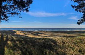 Ferienwohnung Nolte - Foto 16