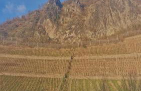 Historische Villa mit Drachenfels-Blick - Foto 11