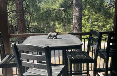 Indian Hills Gem Awaits - Foto 11