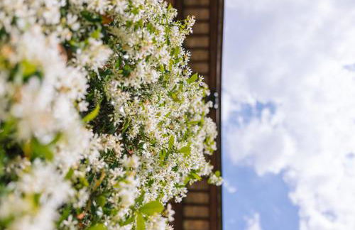 Alloggio Agrituristico Albafiorita - Foto 121