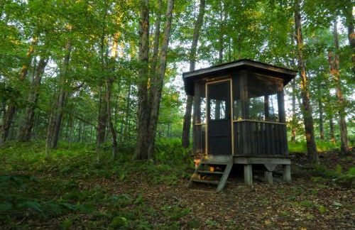 Modern Hideaway with Deck and State Forest Access - Foto 33