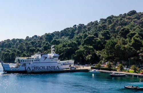 Apartment Tonka's Terrace - Studio Apartment with Terrace and Sea View - Foto 15