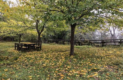 Apartment With Private Pool - Foto 16