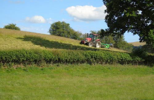 Pwllgwilym B & B - Foto 38