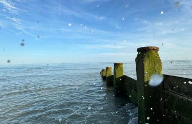 Bridge House Pett Level - Foto 6