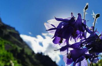 Appartement Le cocon Mont louis 66 - Photo 18