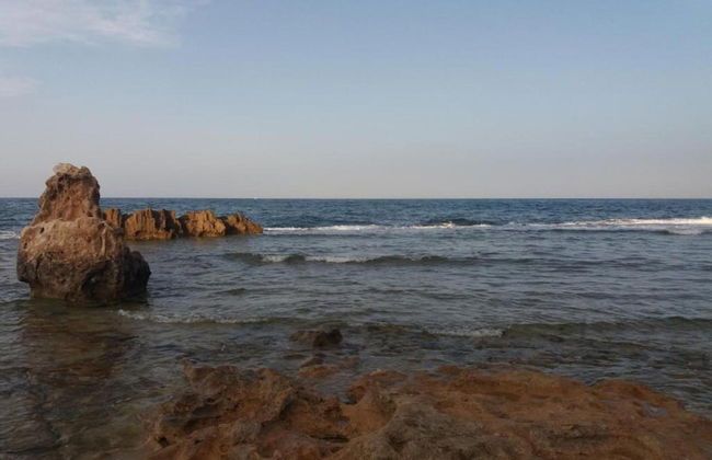 Relaxing Garden Stay, Denia - Foto 42