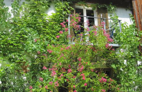 Ferienwohnungen Blätterrausch - Foto 27