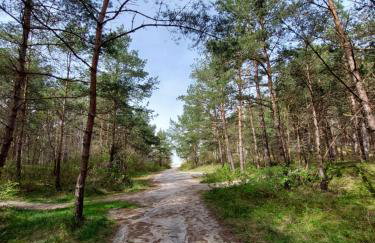 Harmony Pearl Apart Rogowo - Foto 20