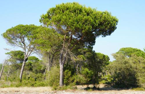 Casa do Mural - Sesimbra, Lagoa de Albufeira e Aldeia do Meco - Foto 71