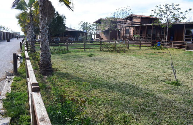 Bungalows Park Albufera - Foto 11