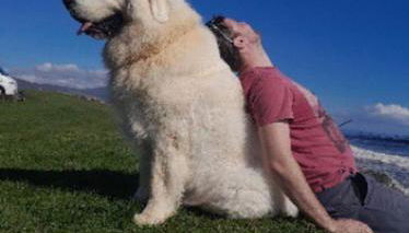 Dunes View, Cottage1, Dunnetbay accommodation - Photo 4