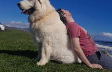 Dunes View, Cottage1, Dunnetbay accommodation - Foto 4