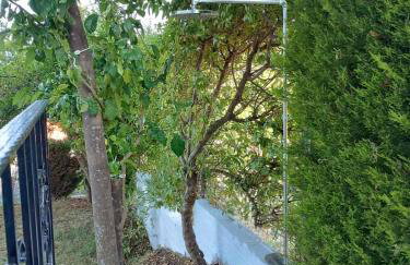 Armonia house - Foto 23