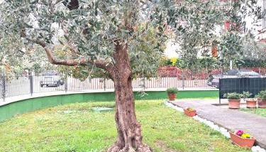 A casa di Francesco - Foto 4, Garden view