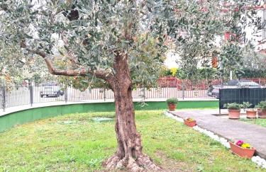 A casa di Francesco - Foto 4