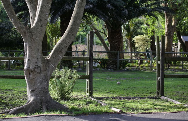 Waterland - Photo 74