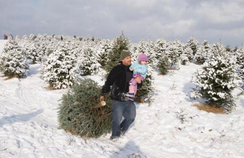 Experience the Rocks Estate like never before with a stay at the Gardeners Cottage! - Foto 36