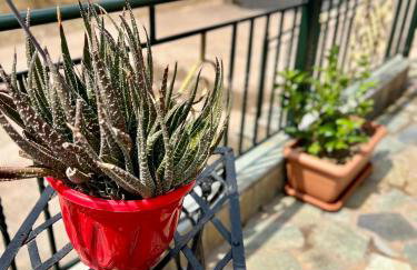 Kolovos House - Foto 10