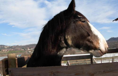 Agriturismo Tra Serra e Lago - Foto 40