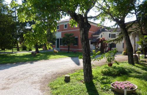 Azienda Agricola Marin - Foto 27