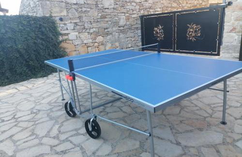 Mala kuća sa velikim grijanim bazenom ANTONIO - Foto 39