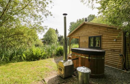 Kingfisher - Foto 15