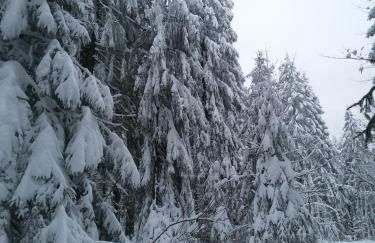 Landhaus Dahlem - Foto 19