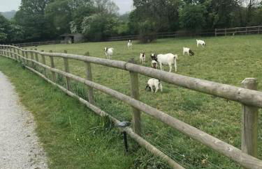 The Nookery - Foto 48