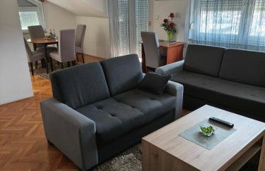 Apartmani MARIN-ŽUPANJA - Foto 1