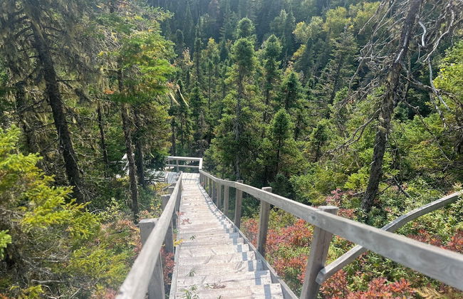 Indian Falls Chalets - Photo 53