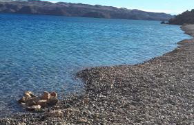 Apartmani Andrea - Foto 49