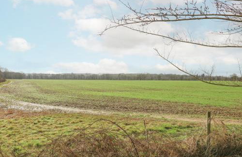 Bumble's Retreat - Foto 20