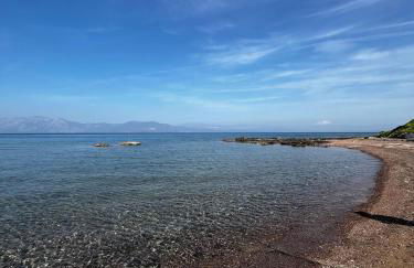 Anoixi Home New Pool and Evia Landscapes - Foto 29