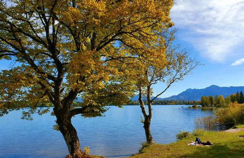 Hörnlestubn - Foto 33