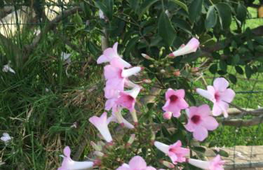 Apartamentos Turísticos Los LLanos - Foto 11